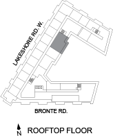 floor